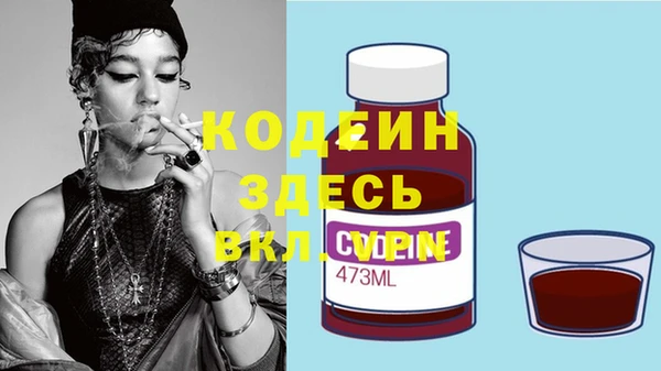 шишки Арсеньев