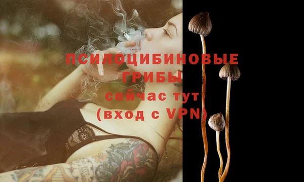 скорость Аркадак