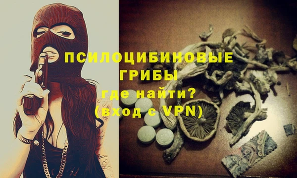 шишки Арсеньев