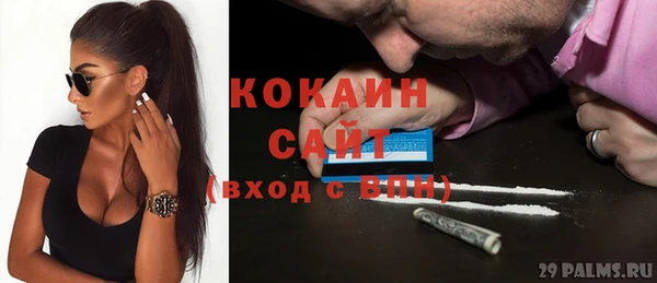шишки Арсеньев
