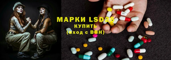 шишки Арсеньев