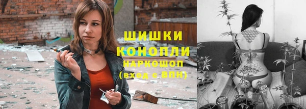 шишки Арсеньев