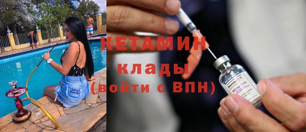 шишки Арсеньев